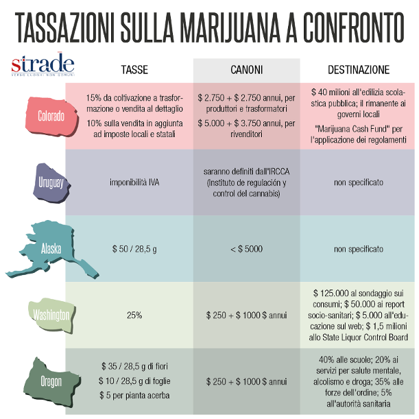 tassazioni-marijuana-confronto