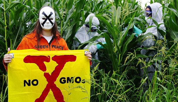 Risultati immagini per NO OGM