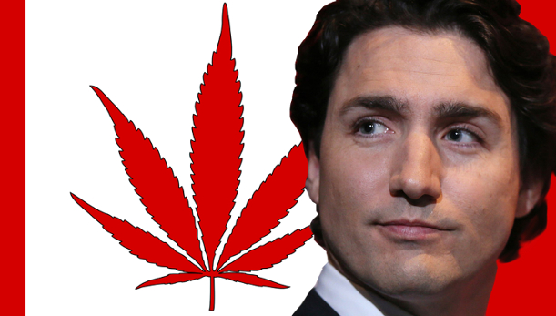 Trudeau marijuana Canada